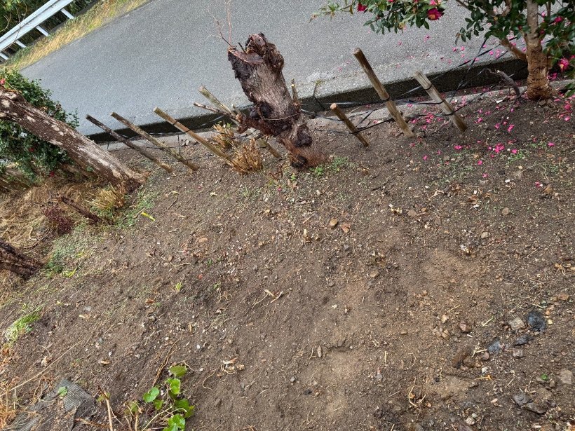 斜面に杭と花を植えている
